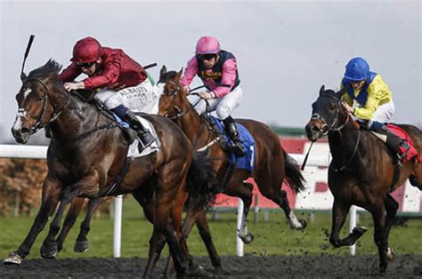 haydock betting tips|Home .